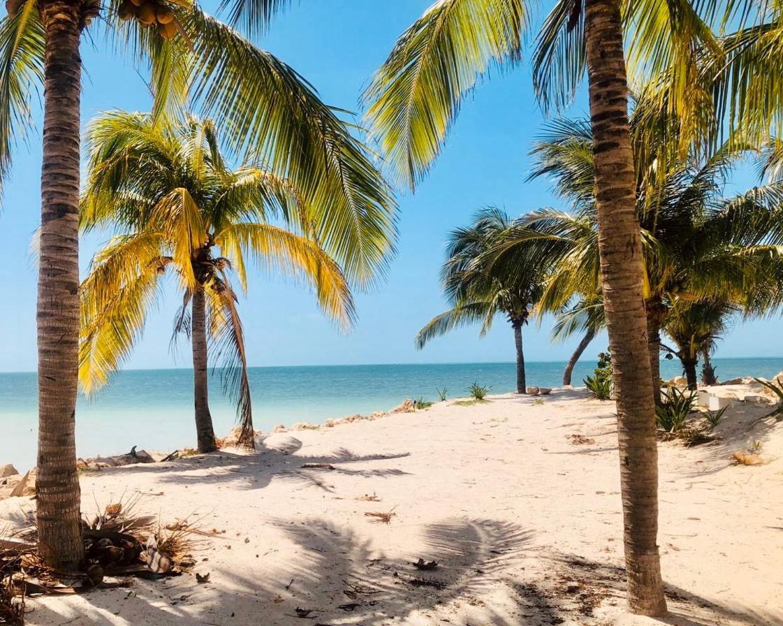 Corazon Mexicano Holbox Exterior foto
